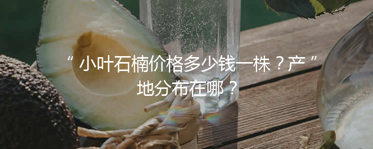 小叶石楠价格多少钱一株？产地分布在哪？