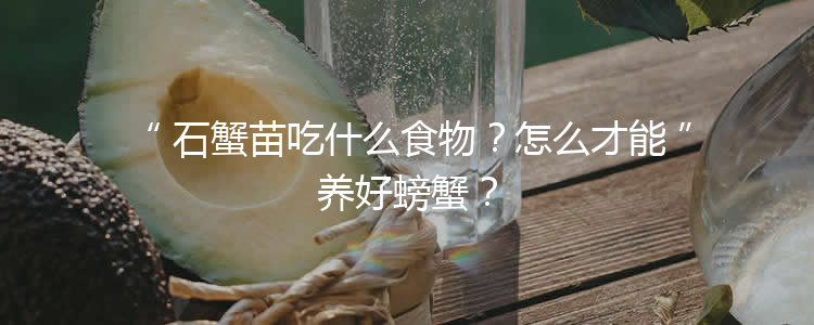 石蟹苗吃什么食物？怎么才能养好螃蟹？