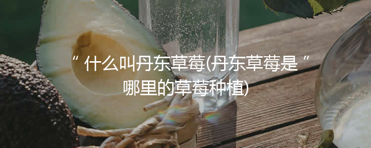 什么叫丹东草莓(丹东草莓是哪里的草莓种植)