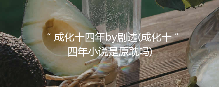 成化十四年by剧透(成化十四年小说是原耽吗)