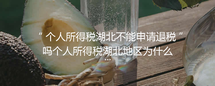 个人所得税湖北不能申请退税吗个人所得税湖北地区为什么不开放