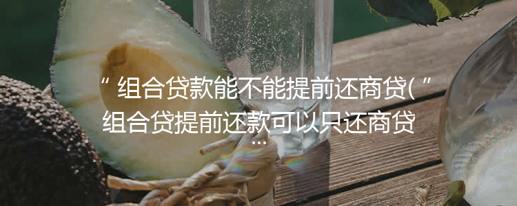 组合贷款能不能提前还商贷(组合贷提前还款可以只还商贷吗)