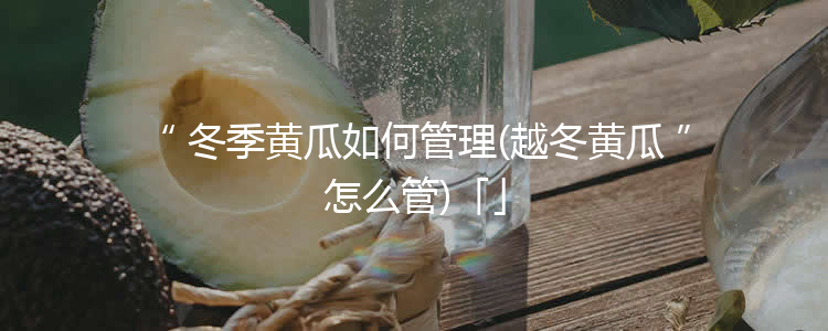 冬季黄瓜如何管理(越冬黄瓜怎么管)「」