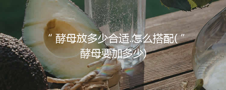 酵母放多少合适.怎么搭配(酵母要加多少)