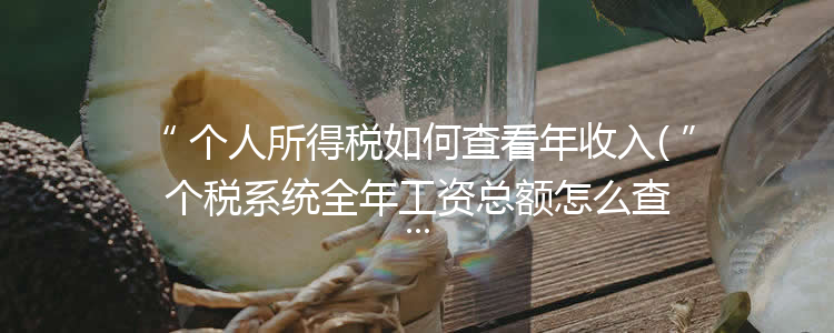 个人所得税如何查看年收入(个税系统全年工资总额怎么查)