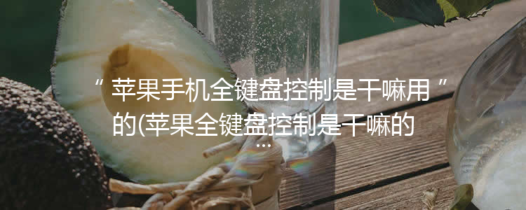 苹果手机全键盘控制是干嘛用的(苹果全键盘控制是干嘛的)