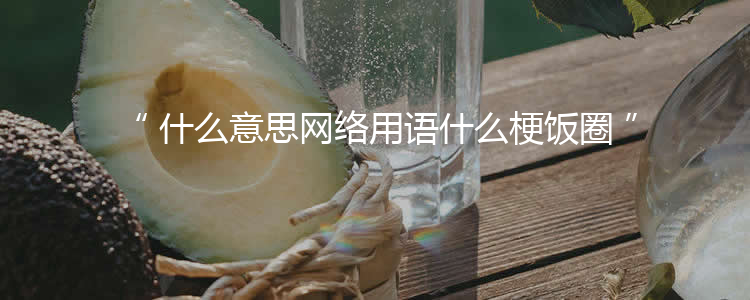 什么意思网络用语什么梗饭圈