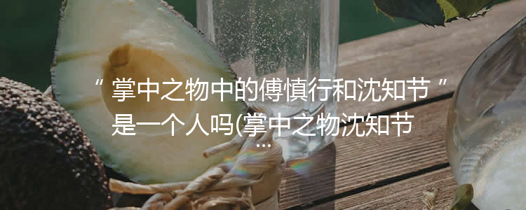 掌中之物中的傅慎行和沈知节是一个人吗(掌中之物沈知节什么时候变成傅慎行)