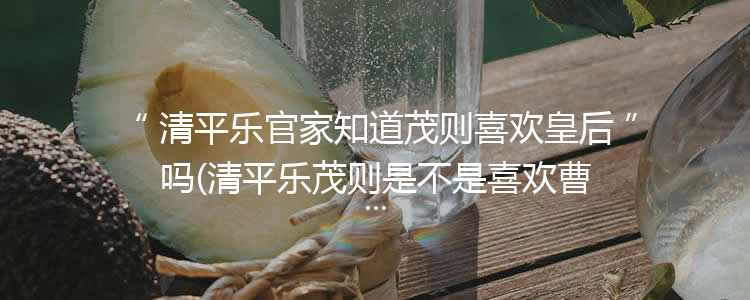 清平乐官家知道茂则喜欢皇后吗(清平乐茂则是不是喜欢曹皇后)