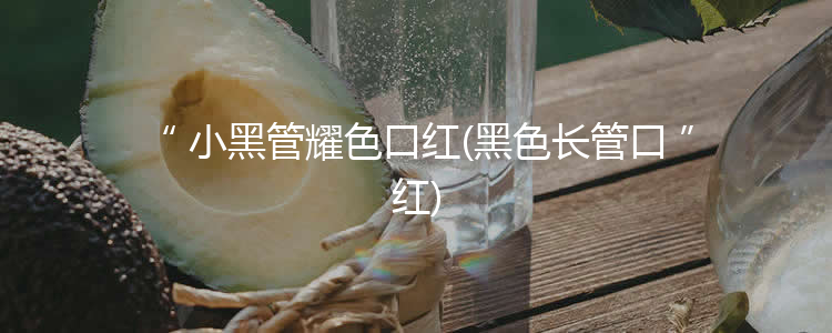 小黑管耀色口红(黑色长管口红)