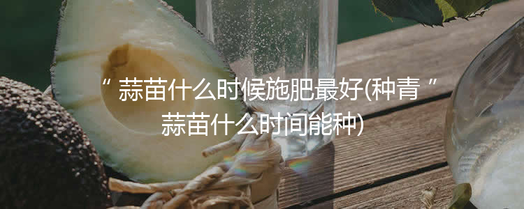 蒜苗什么时候施肥最好(种青蒜苗什么时间能种)