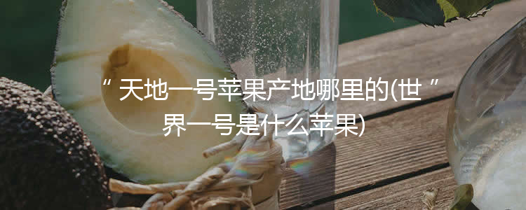 天地一号苹果产地哪里的(世界一号是什么苹果)