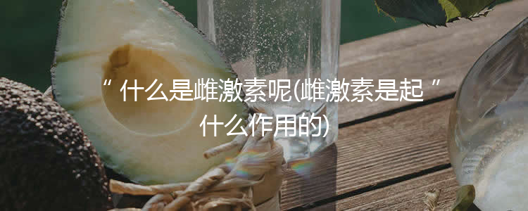 什么是雌激素呢(雌激素是起什么作用的)