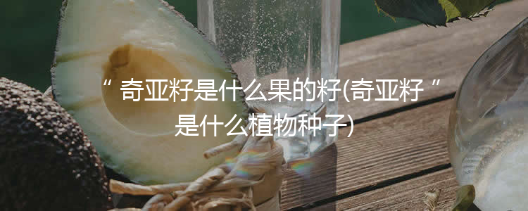 奇亚籽是什么果的籽(奇亚籽是什么植物种子)