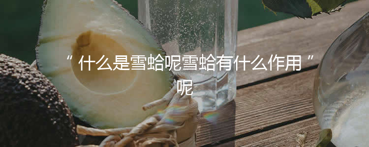 什么是雪蛤呢雪蛤有什么作用呢