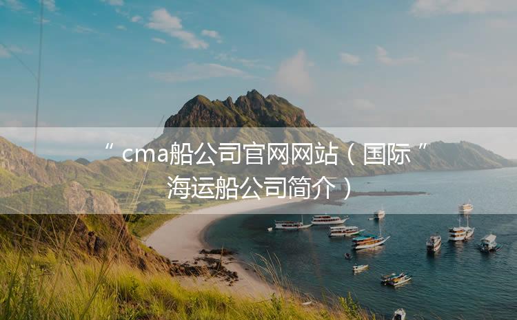 cma船公司官网网站（国际海运船公司简介）