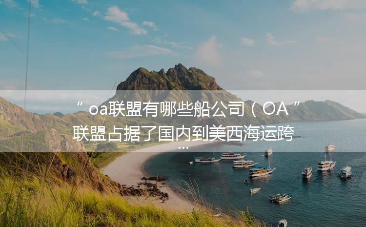 oa联盟有哪些船公司（OA联盟占据了国内到美西海运跨境电商货物）