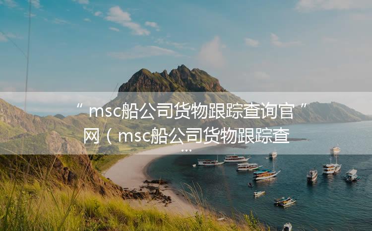 msc船公司货物跟踪查询官网（msc船公司货物跟踪查询攻略）