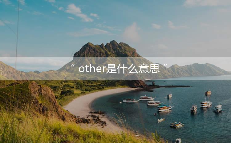 other是什么意思