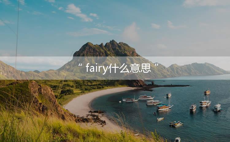 fairy什么意思