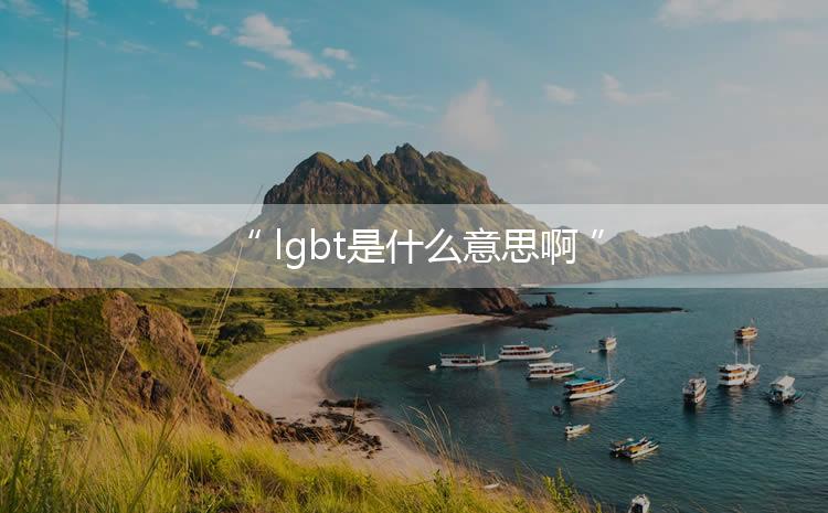 lgbt是什么意思啊